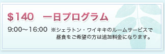 $140一日プログラム