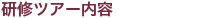 実績